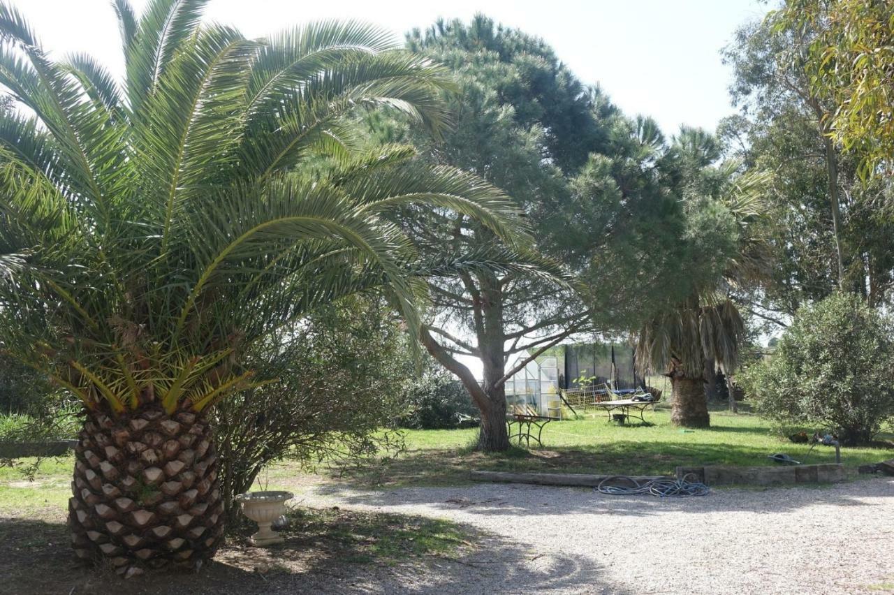 Mas Du Roc Villa Saint-Nazaire  Exterior photo